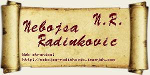 Nebojša Radinković vizit kartica